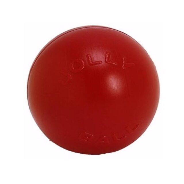 Jolly Pets Push-N-Play Ball Red 10 inch Hard Plastic Chew Toy for Dogs