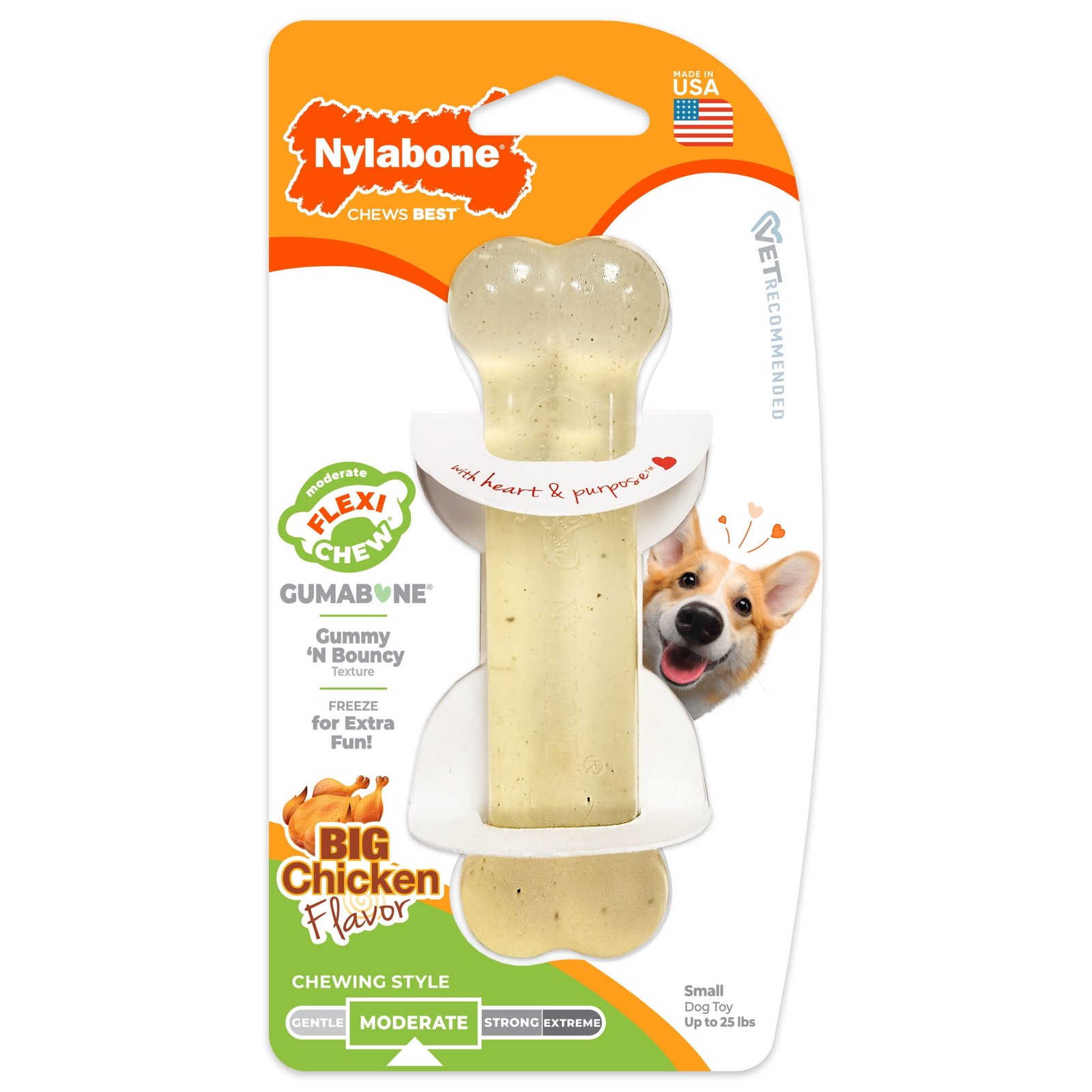 Nylabone Moderate FlexiChew Chicken Flavored Dry Bone Dog Chew Toy Regular
