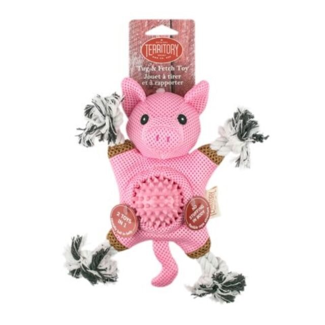 Farm & Friend 2-in-1 Toy Pig