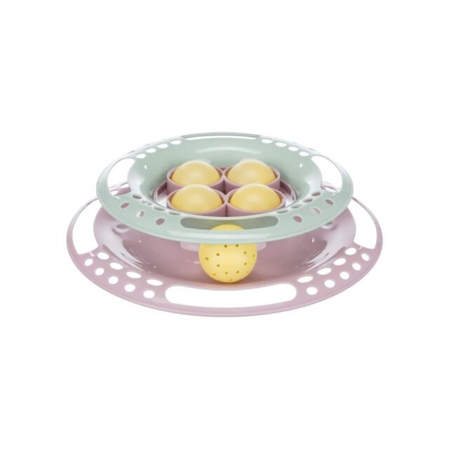 Cat Activity – Junior Circle Track Kitten