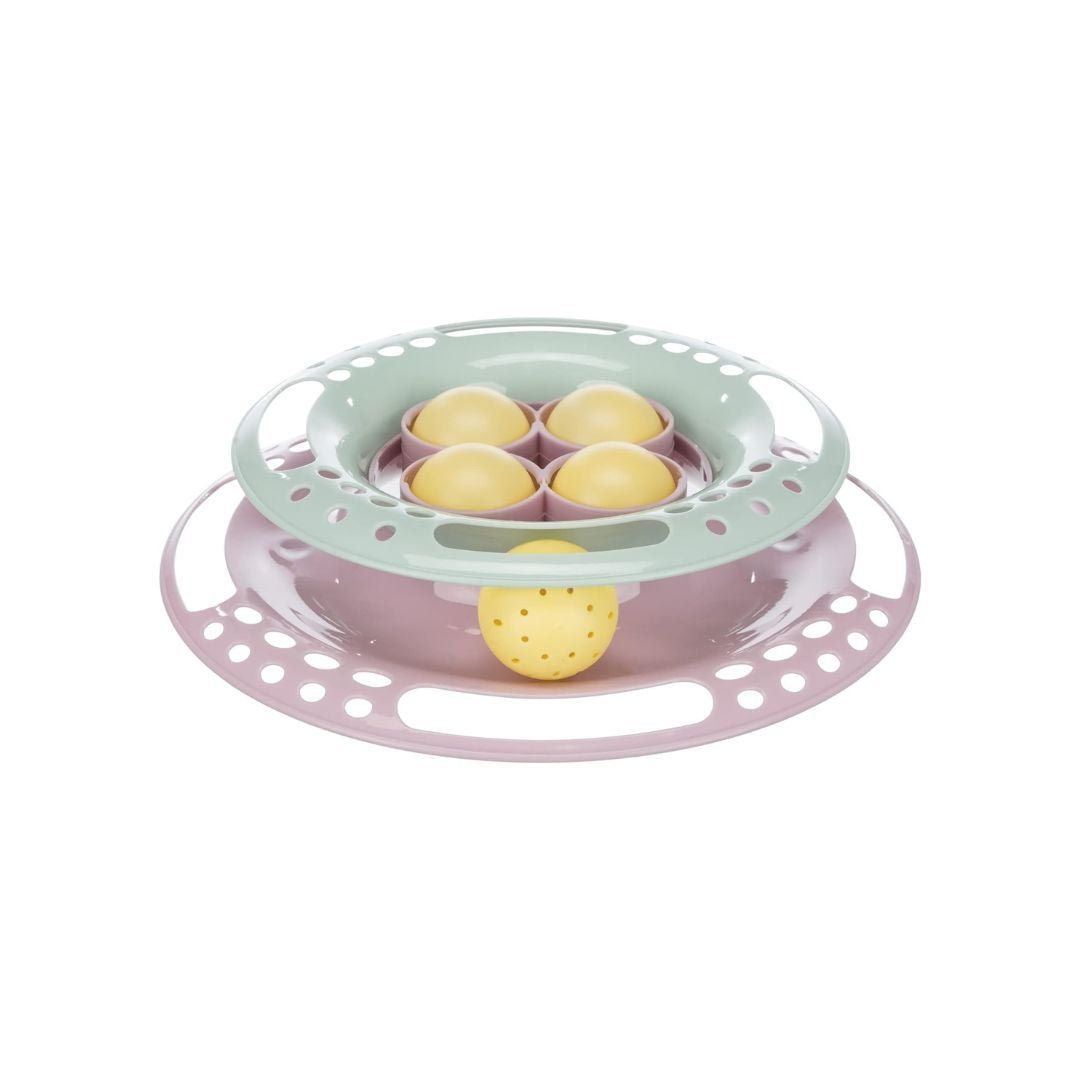 Cat Activity – Junior Circle Track Kitten