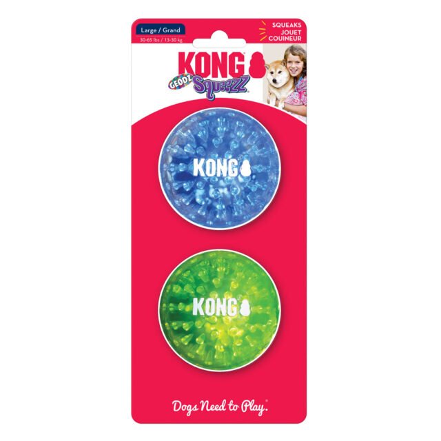 KONG Squeezz Geodz Squeaker Ball Dog Toy Assorted 2 pack