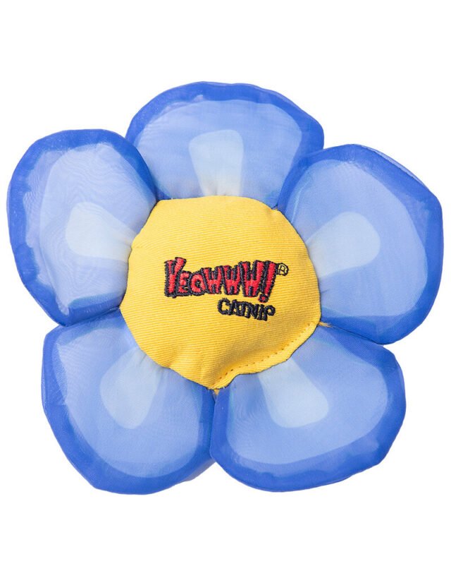 Daisy Flower Tops Cat Toys – Blue