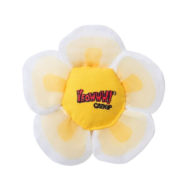Daisy Flower Tops Cat Toys – White