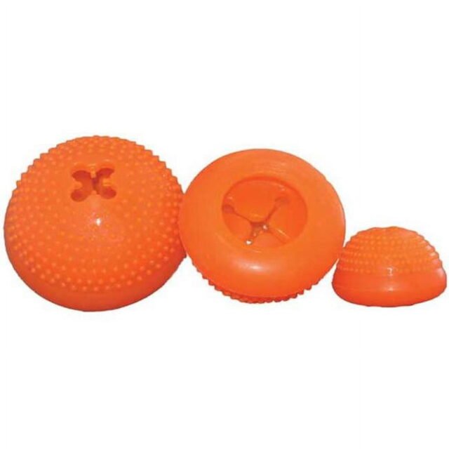 Bento Ball Dog Chew Toy (treat-dispensing), Orange