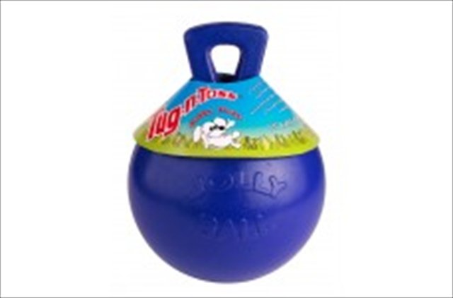 Jolly Pets Tug-N-Toss 6 inch Blue Rubber Ball with Handle Chew Toy for Dogs