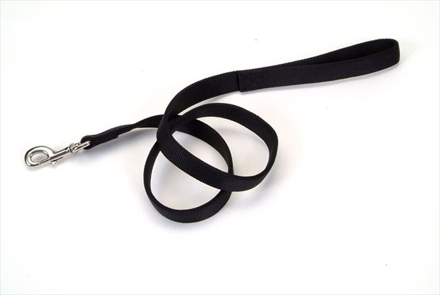 Coastal Pet Products Nylon Double Dog Collar and Double Ply Dog Leash